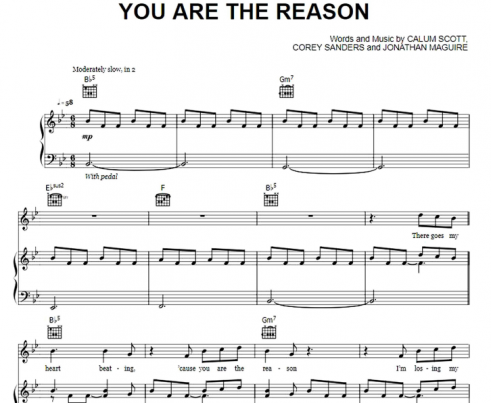 Calum Scott - You Are The Reason Free Sheet Music PDF for Piano | The